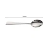 Dinner Spoon
