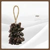 Juju 56 conchas