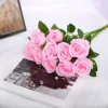 Rosa1