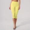 colorful Goose yellow