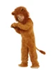 Single lion headgear