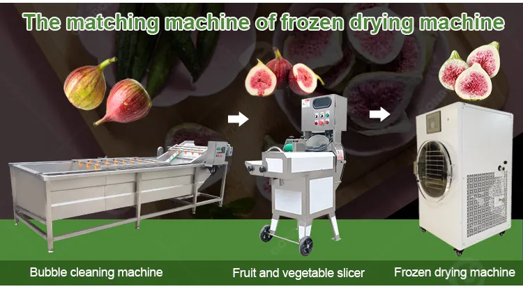 Liquid Dryer Food Maker Small Lyophilizer Vacuum Freezing Drying Machine Portable to Freeze Dry