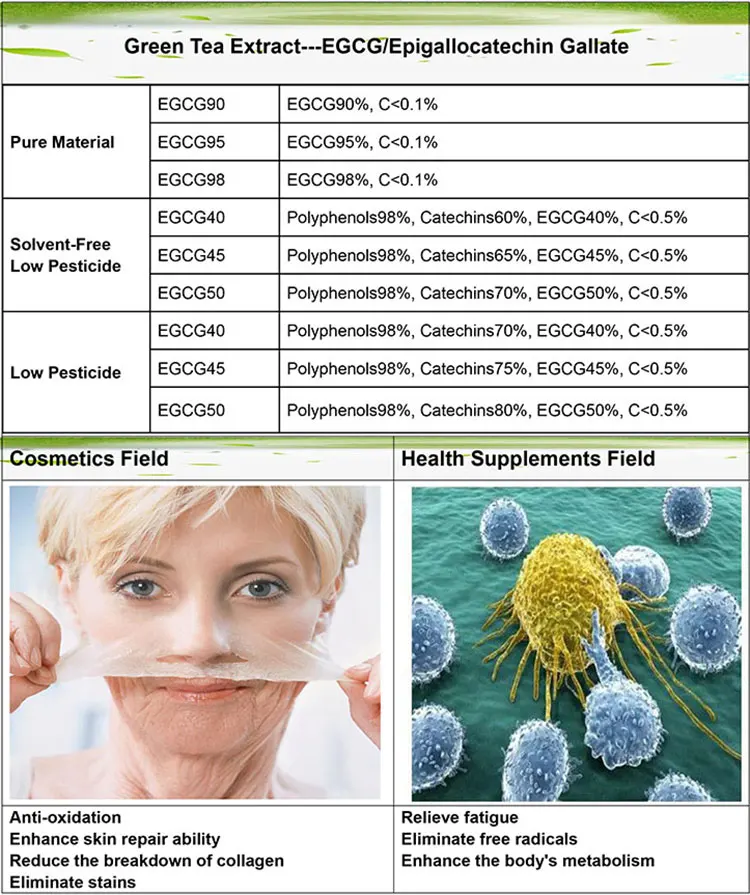 EGCG Spe.jpg