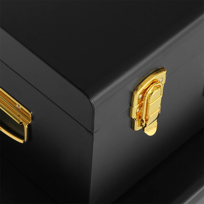 Exquisite  Set of Two Metal Trunk Storage Trunk Box for Home Decoration