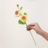 Yellow purslane