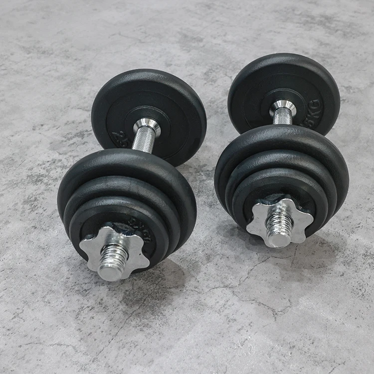 Dumbbell Manufacture 20kg Adjustable Cast Iron Weight Set With Carry