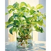 Piante acquatiche verdi in vaso colorato