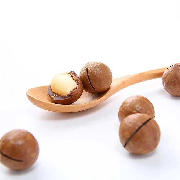 VANILLA FLAVOR Macadamia Nuts in the Shell Bulk Supply for Export at Best Price Delicious Macadamia Nuts