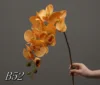 Arancione