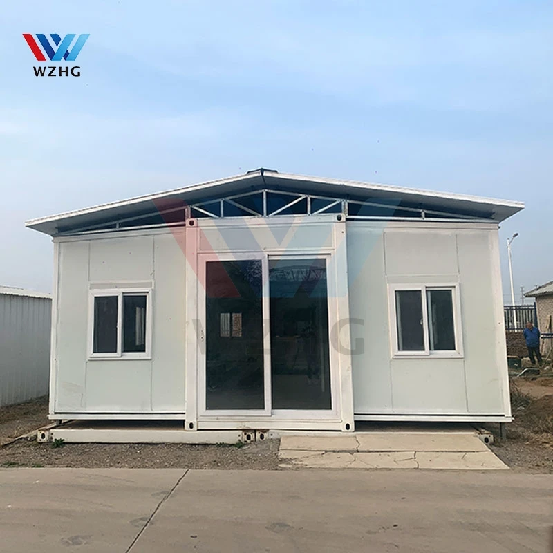 NZ Standard Prefabricated Factory Light Gauge Steel Structure Home Light Steel Frames Metal Roof Trusses House