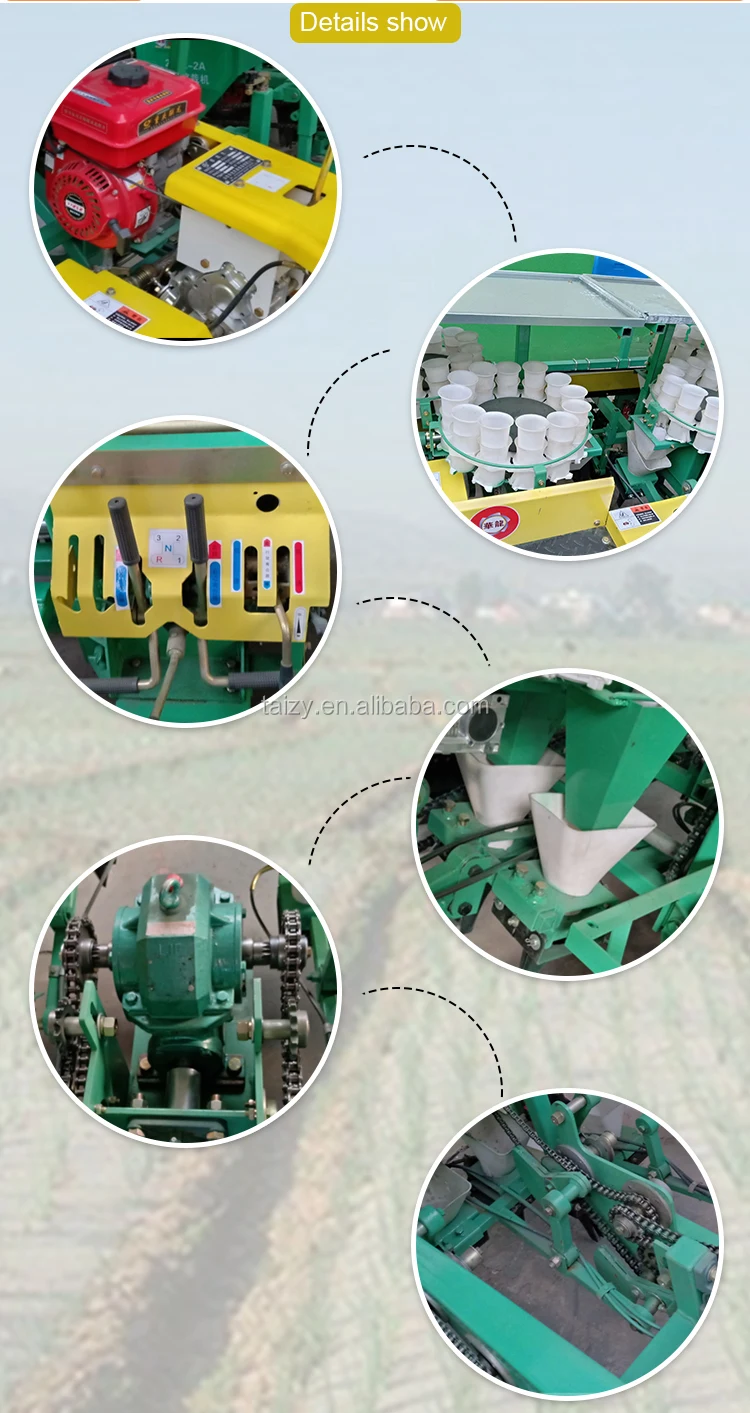 Automatic Seedling Planting Machine 2rows Hand Push Vegetable Onion Seed Planter Plant Seedling