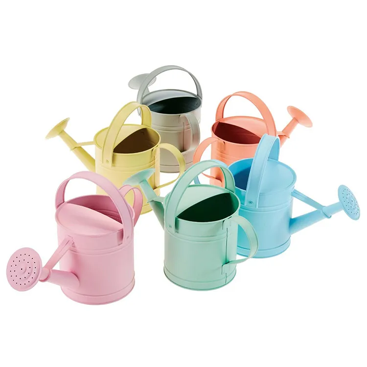 Decorative Watering Bucket Metal Kids Watering Can Small Garden Water ...