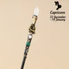 Capricorn