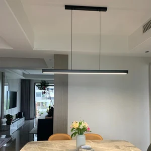 Modern Nordic LED Long Hanging Lights for Living Room Restaurant Office & Bar Remote Control Study Illumination Lamps