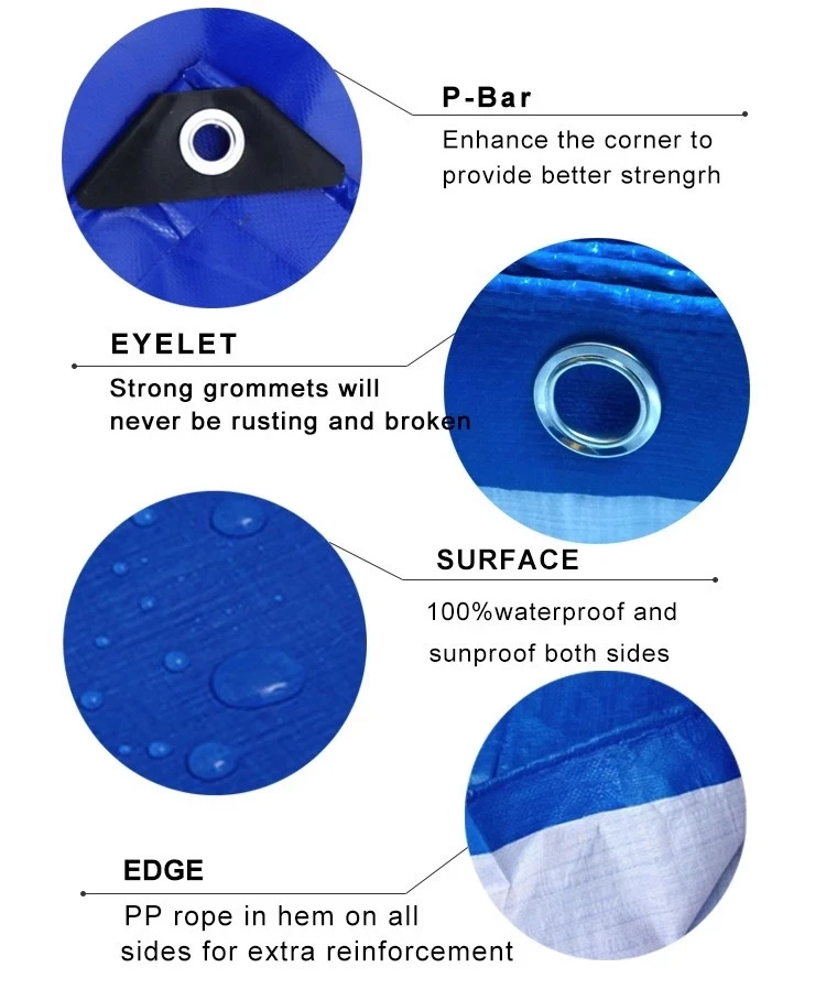 Eco-Friendly Greenhouse Tarpaulin Poly Tarp Roll 100% Virgin Pe Material Waterproof Truck details