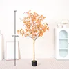 Autumn Colors Money Tree - 150cm