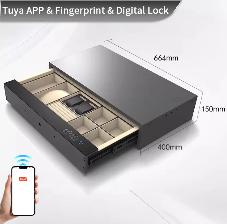 CEQSAFE Smart Intelligent Wardrobe Fingerprint Password Drawer Cloakroom Hidden Jewelry Safe Box