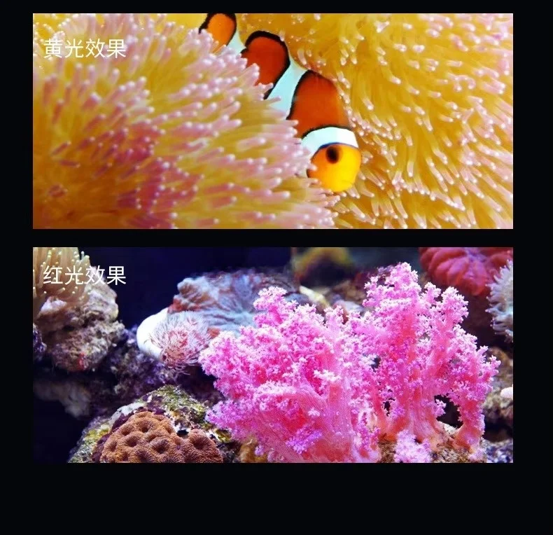 FactoryWRGBControllable LED Aquarium Lamp for Full Spectrum Application，Used for Coral Reef Lighting