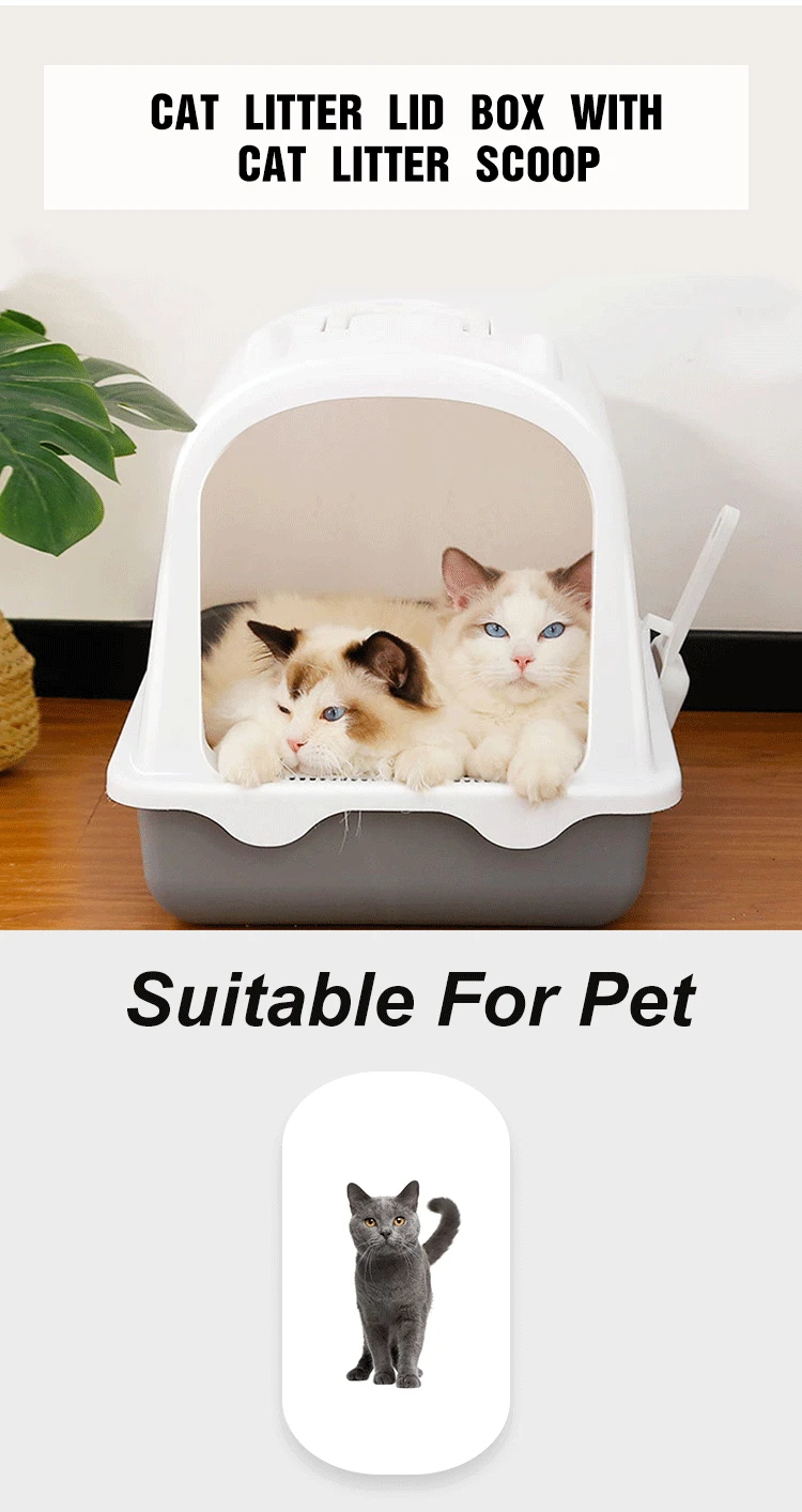 big kitty litter box
