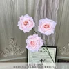 XMR-3-Head Diamond Rose - Rosa claro
