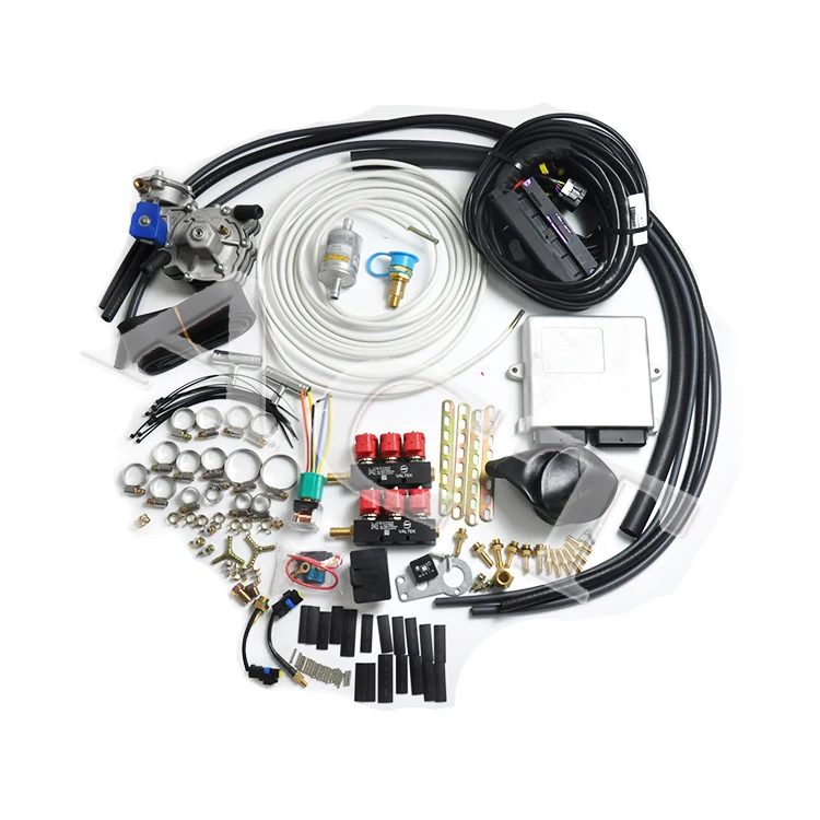 ACT Fuel Gas System  4/6/8 Cylinder Efi Conversion Kits Auto Parts CNG LPG Sequential Efi Conversion Kits Gas Equipment for Auto