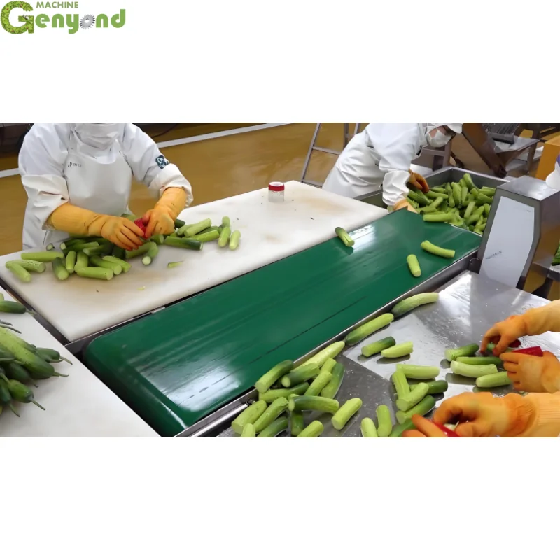 Factory Complete Pickled Vegetable Pickles Production Line Korean Kimchi Processing Line