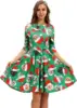 Green Santa Cat 010