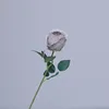 สีเทาอ่อน