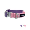 Pink+Purple