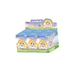 16 boxes/ 6 pieces box