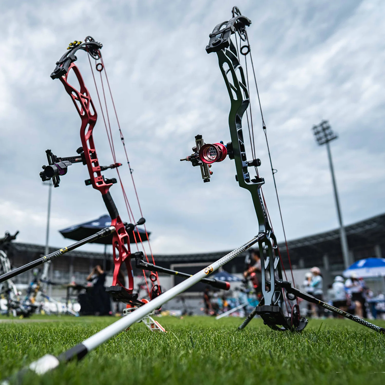 Topoint Archery Target Compound Bow Stonghold,Dual Adjustable Cams,Cnc