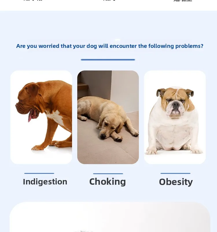 Dog Slow Food Bowl Pet Licking Mat & Silicone Toy for Puppy Cat Feeders Premium Quality Pet Bowls & Food Plate supplier