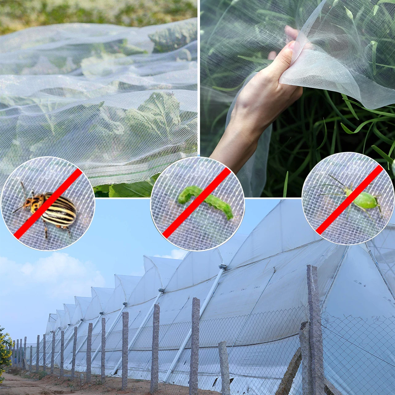 Agriculture Polyethylene Fitted Insect Mesh Net For Trees Greenhouse 40