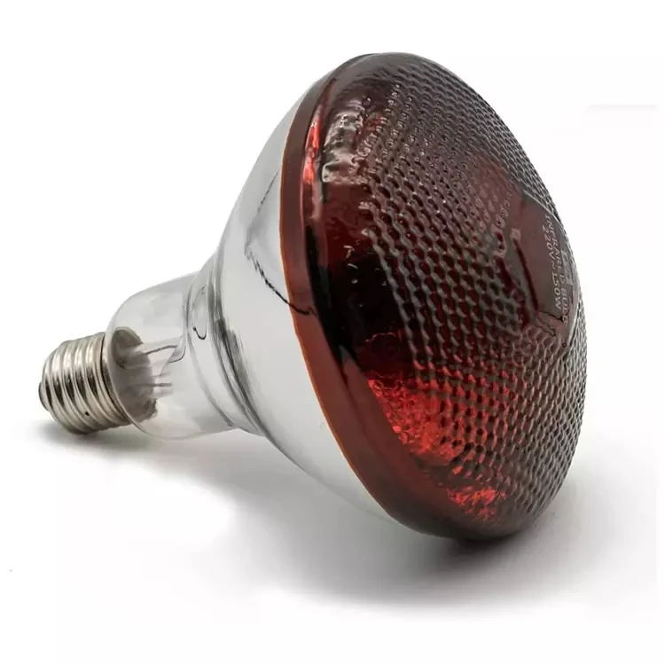 Взрывозащищенная Инфракрасная тепловая лампа R95 R125 нагревательная для домашних животных подогреватели домашней