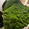 Green-10