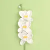Tre rami di orchidea bianchi con farfalle
