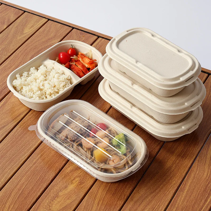 Disposable Biodegradable Sugarcane Bagasse Pulp Food Container Take ...
