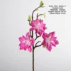 Fortune star magnolia-pink