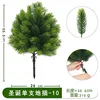 Plante de Noël à tige unique pour sol - 10
