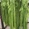 Verde 1