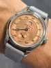 Salmon-38-60