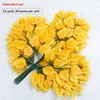 Feuilles de bouleau jaune