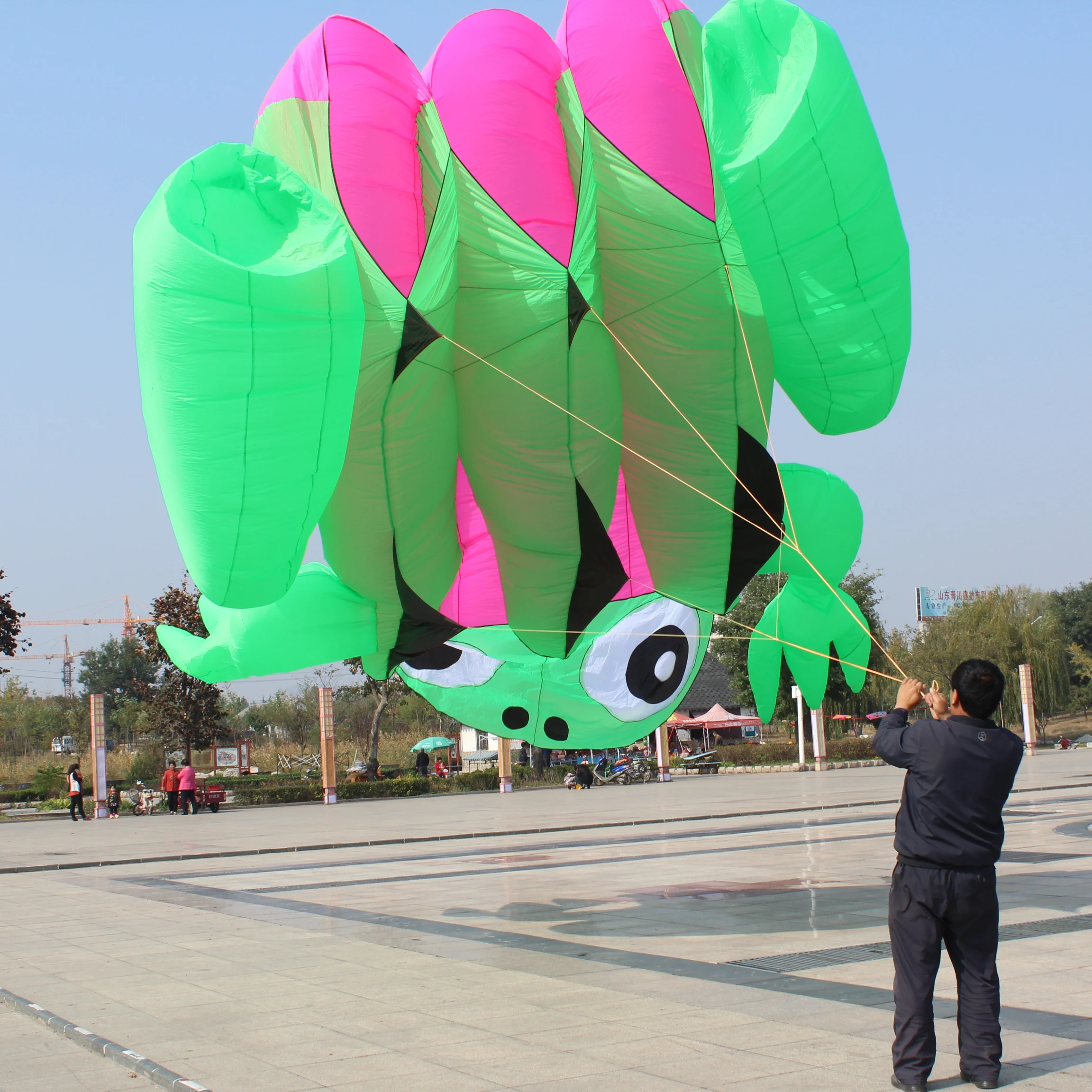 来自风筝工厂的各种尺寸的青蛙先导风筝