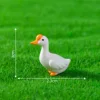 play goose