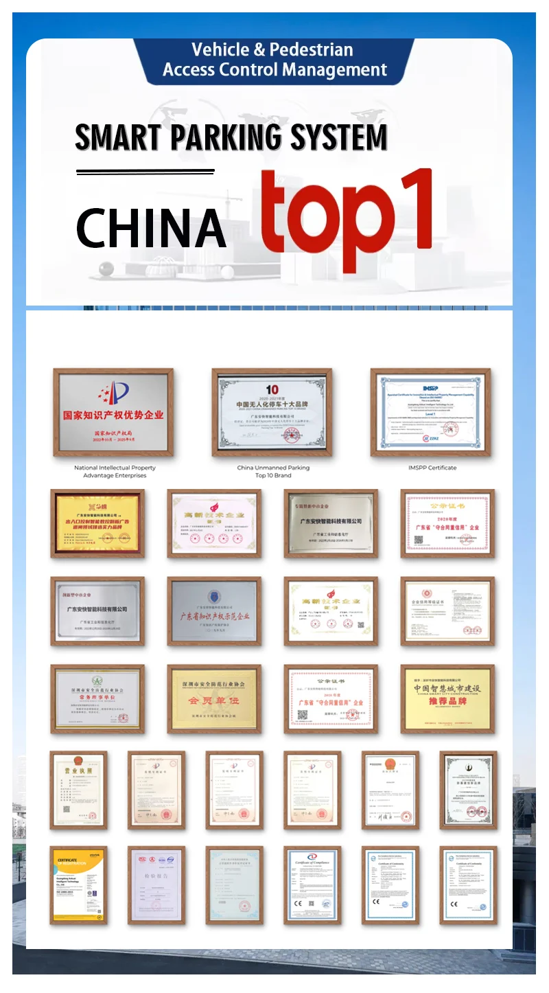 Baroxon Ba-CP01 Long Range Reader