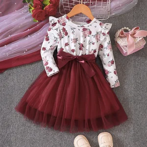 Spring  Fall Flying Long-Sleeved Printed Mesh Girls Dresses for Girls