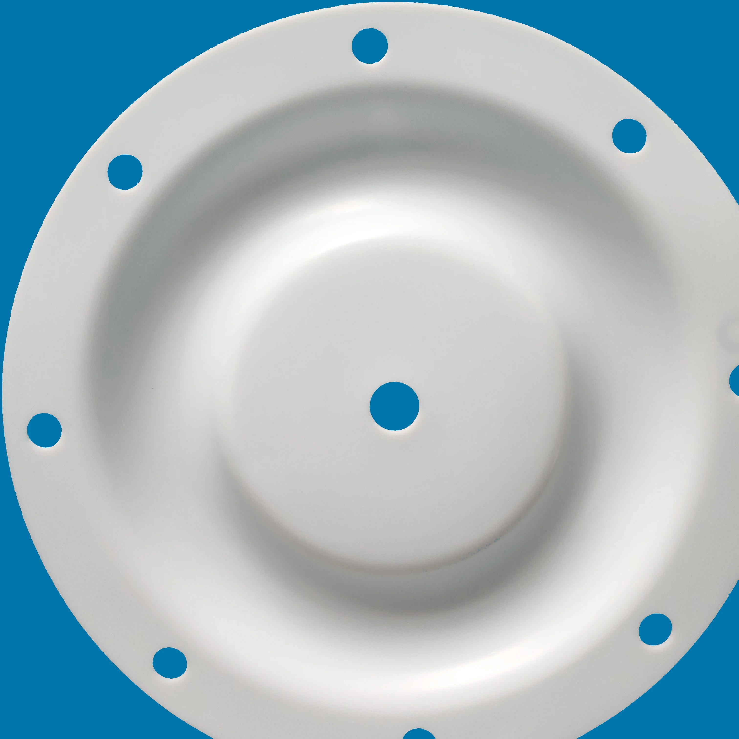 CF286.015.604 Diaphragm supplier