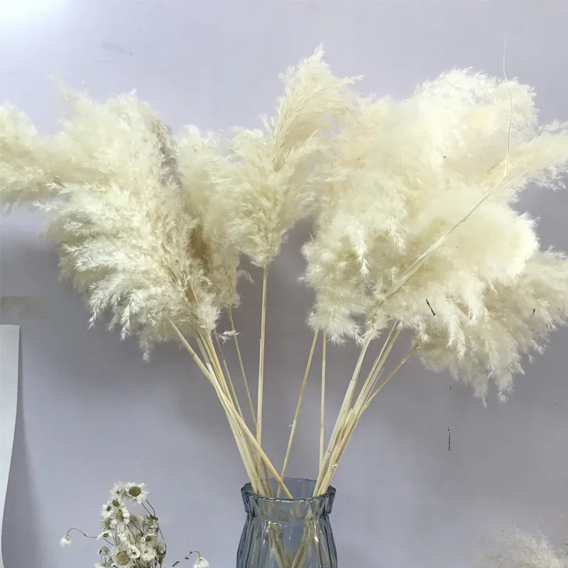 P-02 Wholesale Boho Wedding Decor Large Plume Dry Pampas Grass Flower ...