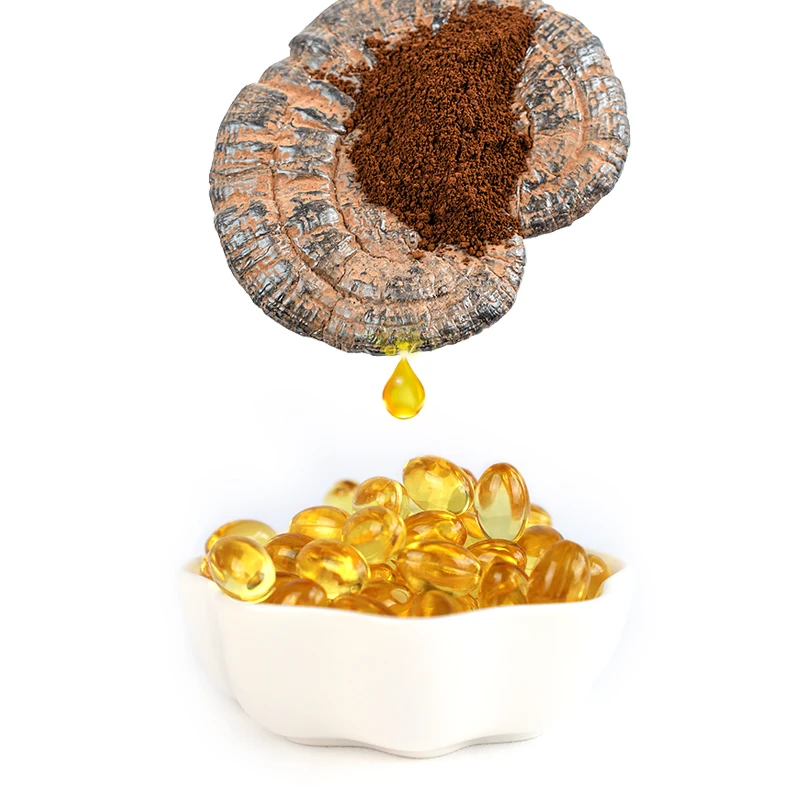 Wholesale Supplier Ganoderma Lucidum Spore Oil Reishi Mushroom Extract Powder Oil Lucidum Ganoderma