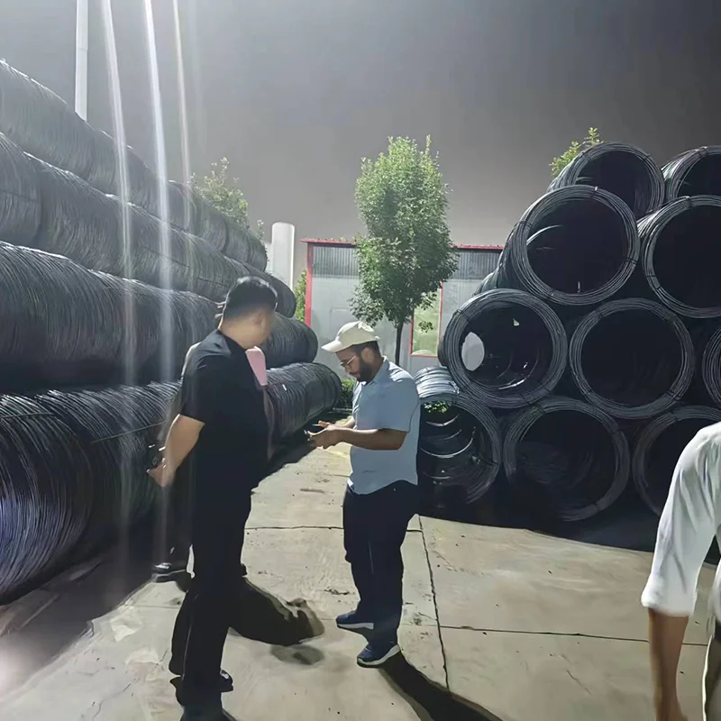 Low Price Q195 Q235 Construct Spring Type Iron Steel Wire 1.5mm-10mm Dia Carbon Steel Wire for Binding Wire